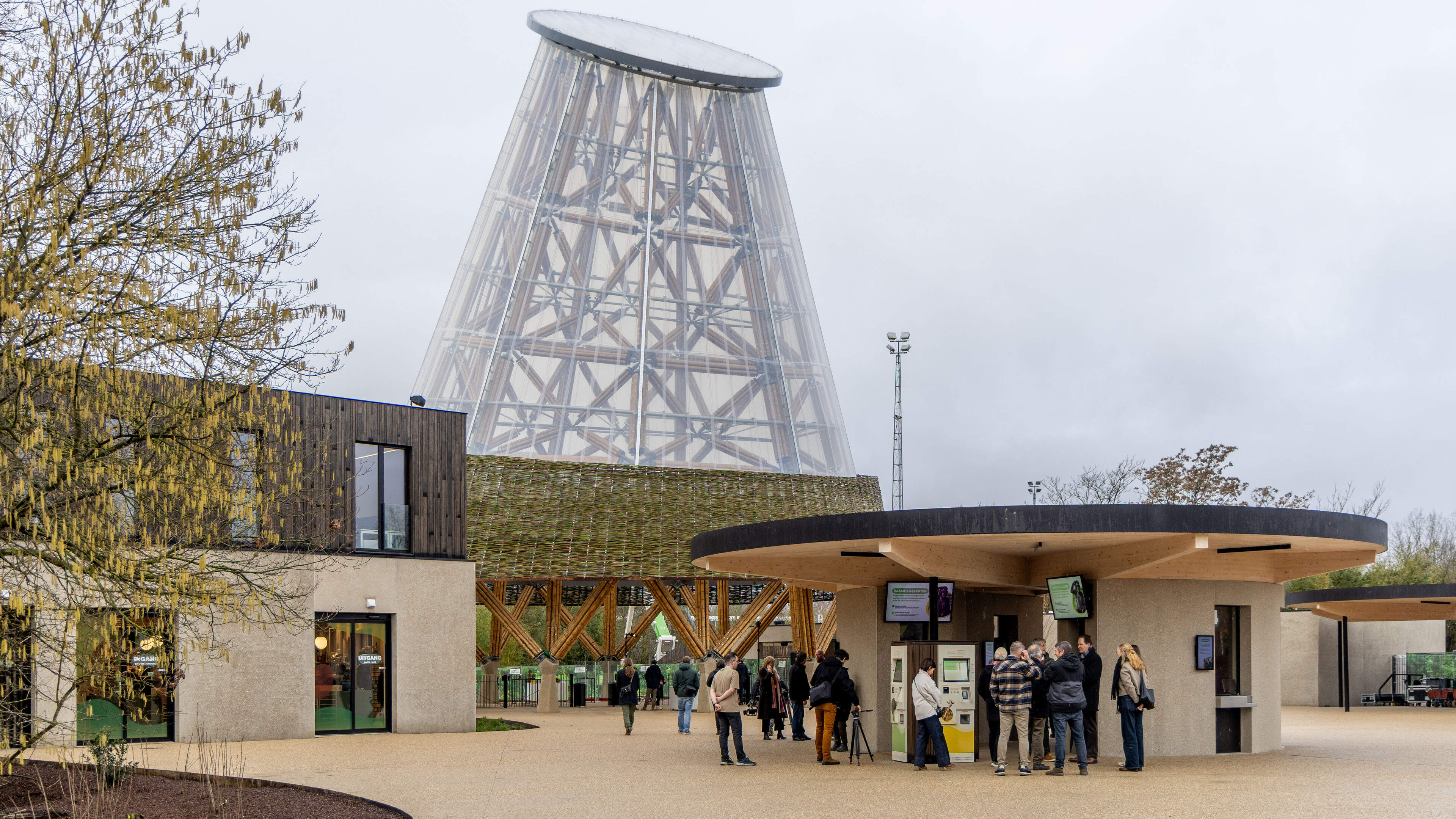 28 meter hoge bamboetoren is blikvanger van nieuwe inkom Planckendael: “Dit is uniek in Europa”